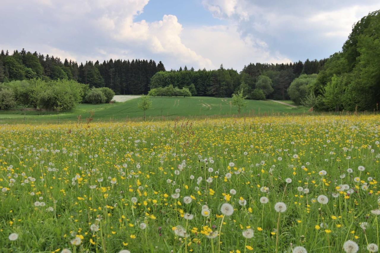 Heumanns Blockhaeuser Am Wald Hotel Pottenstein Bagian luar foto